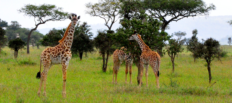 Melanie Heinrich Travel Images Africa